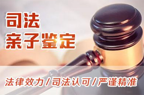 昭通司法DNA鉴定大概价格,昭通司法亲子鉴定需要怎么办理